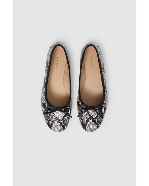 Anine Bing Multicolor Jamie Flats