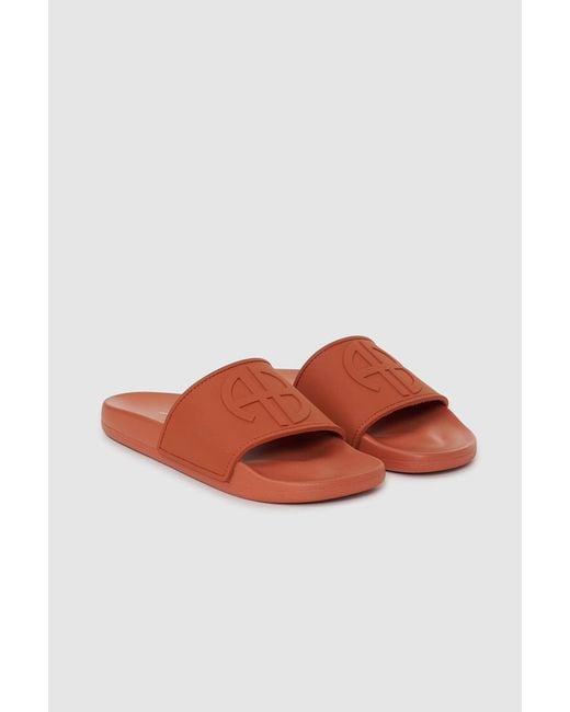 Anine Bing Multicolor Isla Slides