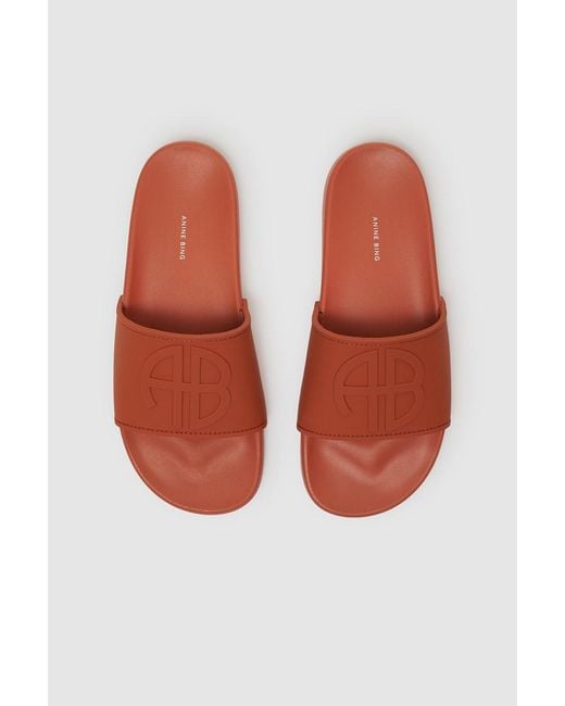 Anine Bing Multicolor Isla Slides