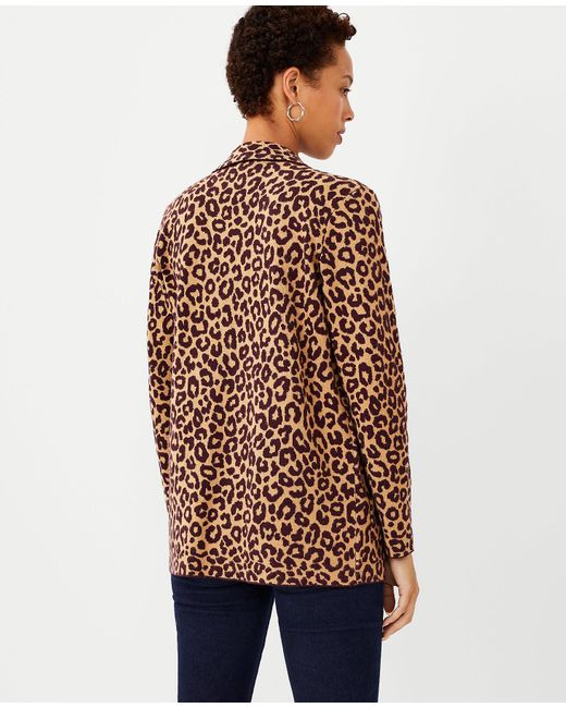 leopard sweater blazer