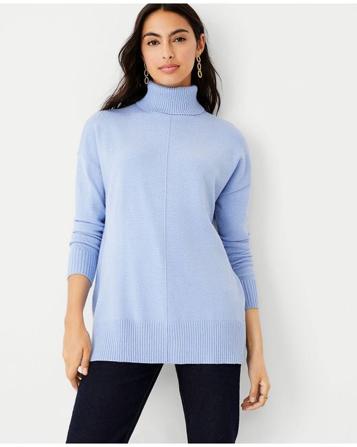 ann taylor turtleneck tunic
