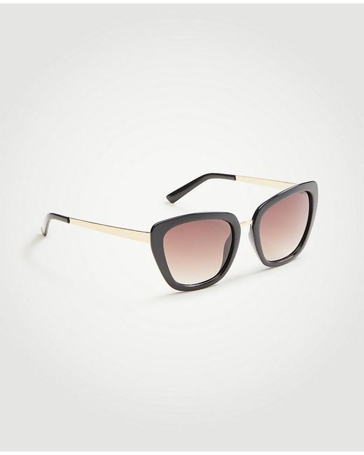 ann taylor sunglasses