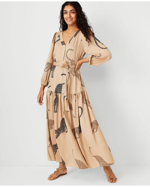 Ann Taylor Petite Cheetah Flare Maxi 