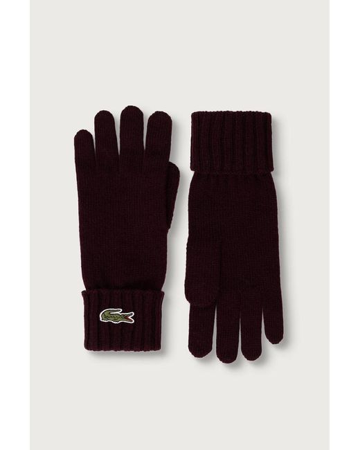 Guanti di Lacoste in Multicolor
