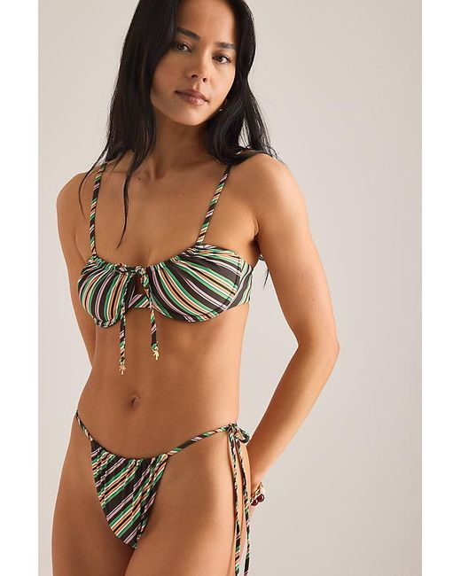 Wild Lovers Brown Sahara Bikini Top