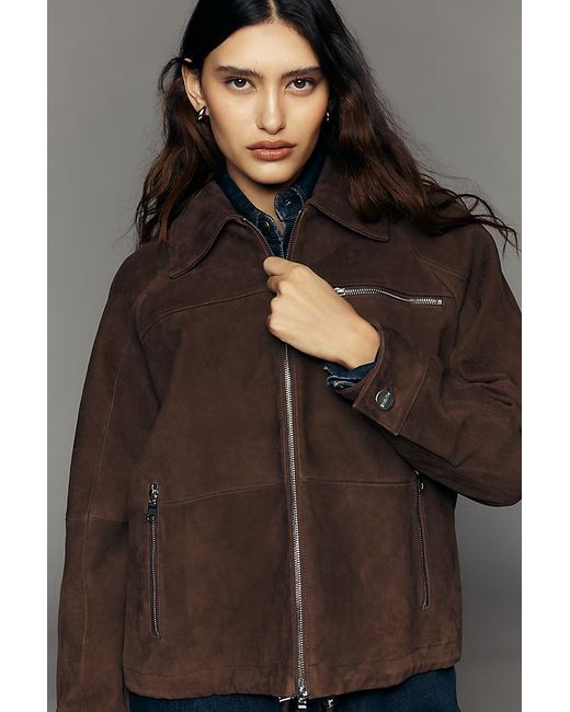 ALIGNE Brown Alex Suede Jacket