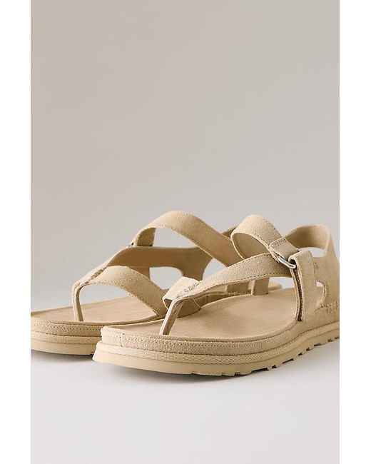 Ugg Natural Goldengaze Toe Post Sandals