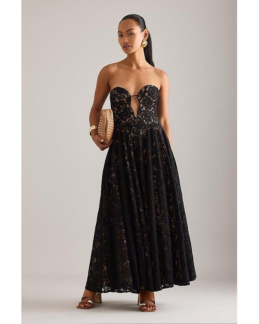 Bardot Black Opal Lace Midi Dress