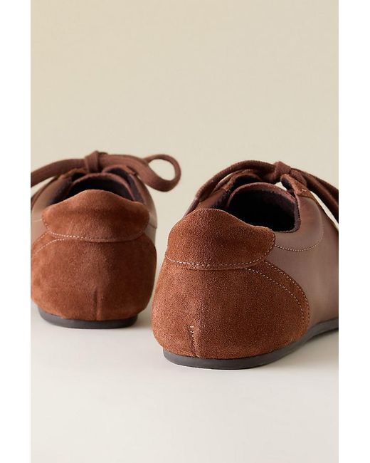 Maeve Brown Low Profile Trainers