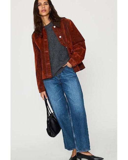ALIGNE Blue Wren Barrel-Leg Jeans