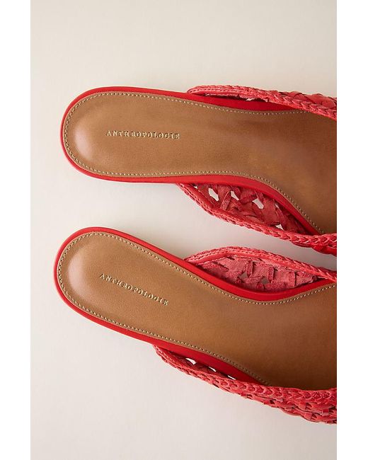 By Anthropologie Red Woven Bow Mules