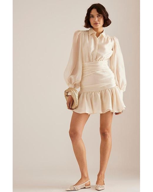 Bardot Natural Milani Organza Mini Dress
