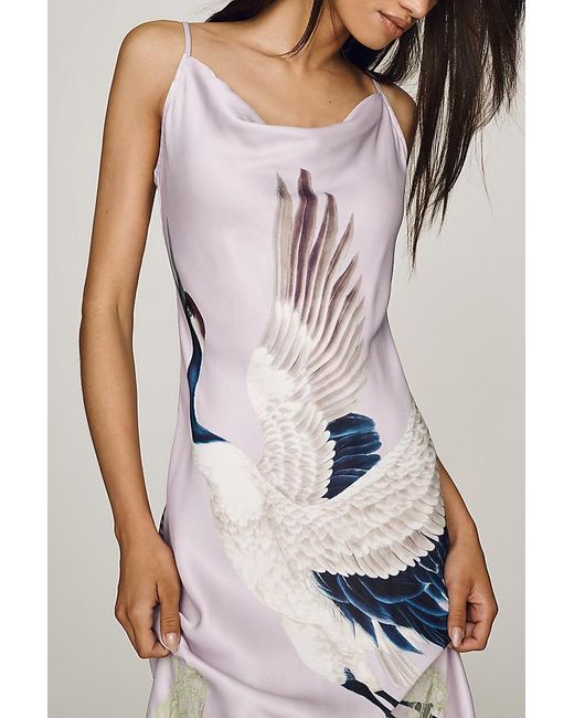 Maeve Multicolor Cowl-Neck Lace Trim Sleeveless Midi Dress