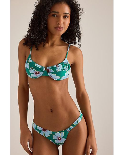 Wild Lovers Blue Belle Bikini Top