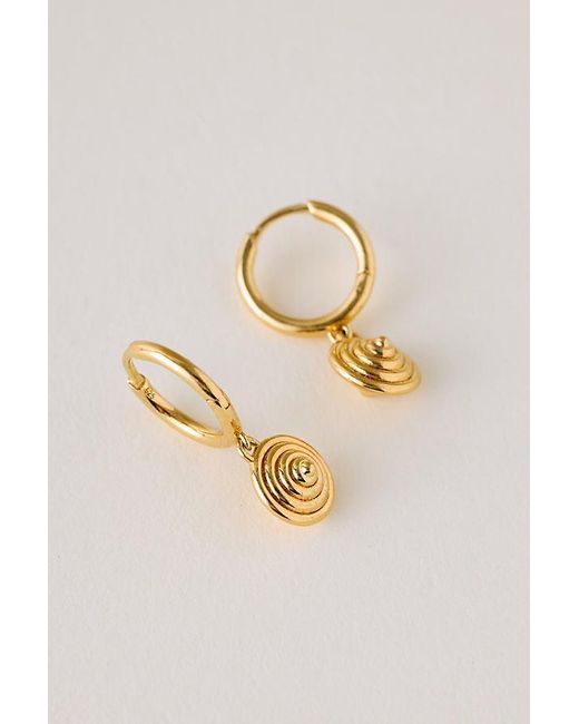 Rachel Jackson Metallic Evolve Cone Huggie Hoop Earrings