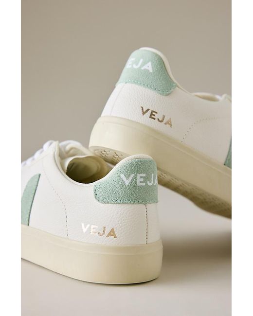 Veja Multicolor Campo Leather Trainers