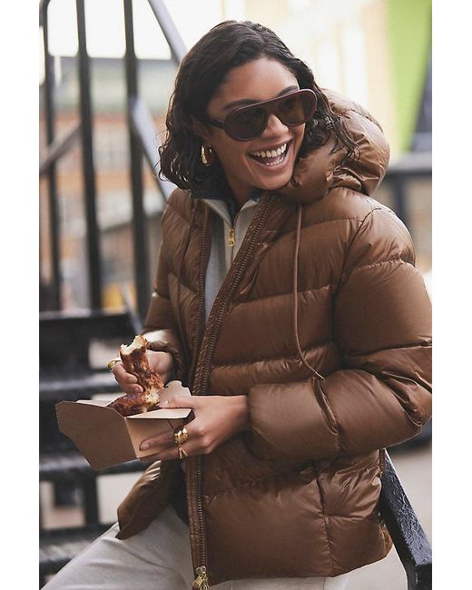 By Anthropologie Brown Bubble Aviator Sunglasses