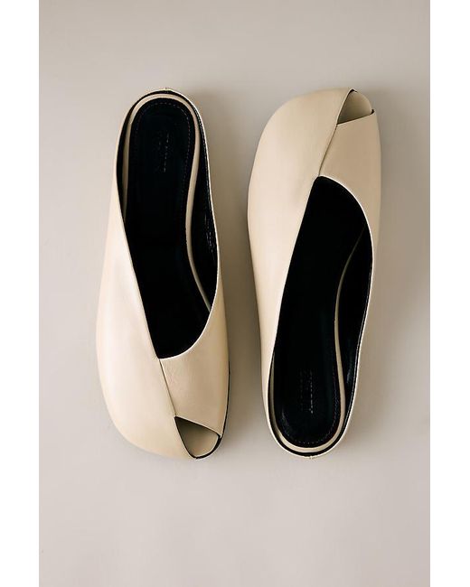 Alohas Black Timmy Mules