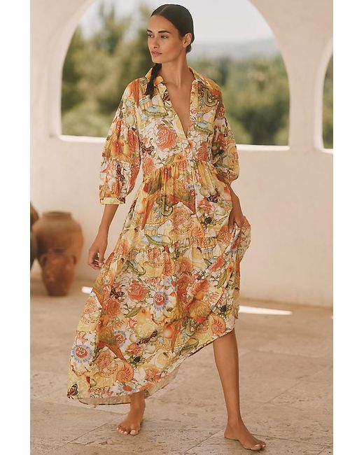 Celandine Brown The Carolita Printed Shirt Dress By Emily Carter X