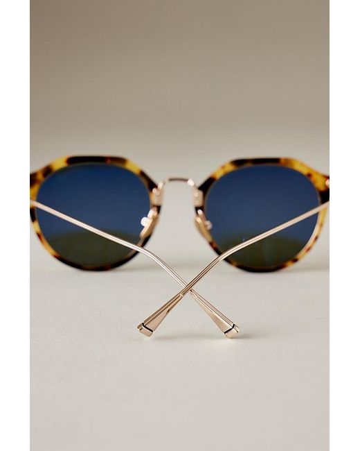 Taylor Morris Brown Cambridge Sunglasses
