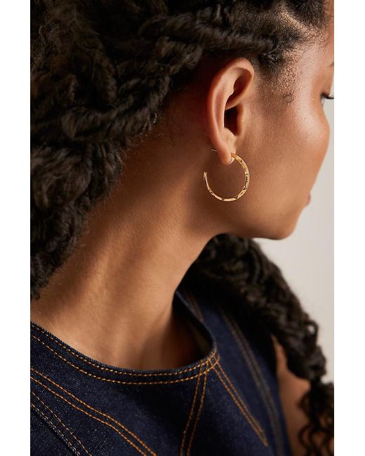 Rachel Jackson Black Large Arrow Spike Hoop Earrings