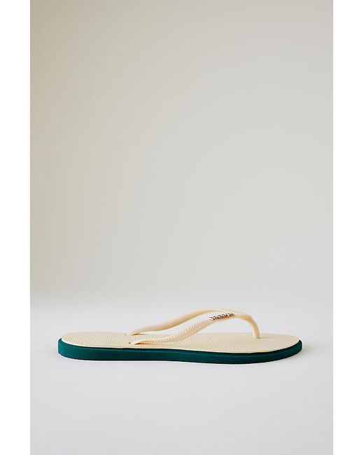 Havaianas Gray Slim Point Flip Flops