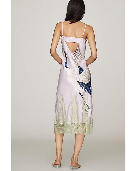 Maeve Multicolor Cowl-Neck Lace Trim Sleeveless Midi Dress