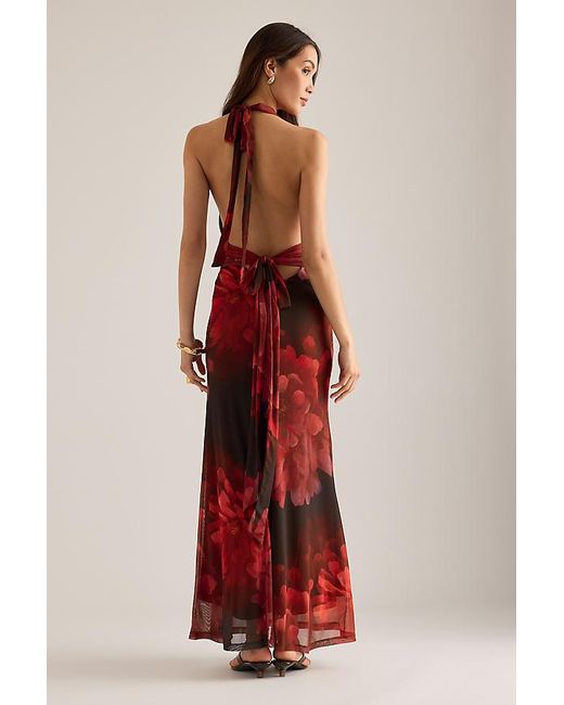 Bardot Red Elera Printed Halter Mesh Maxi Dress