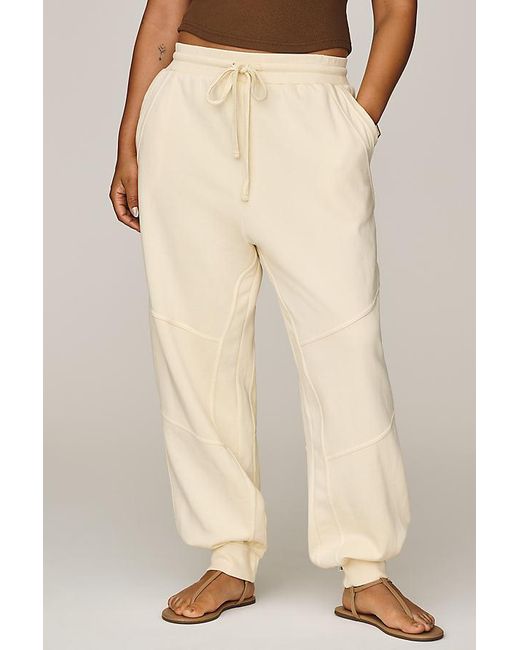 Daily Practice Metallic Plie Joggers