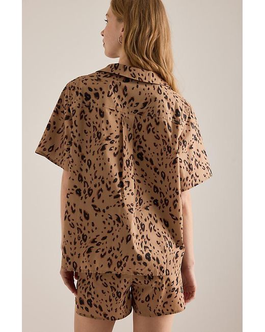 It's 9pm Brown Matilda Short Pyjama Set