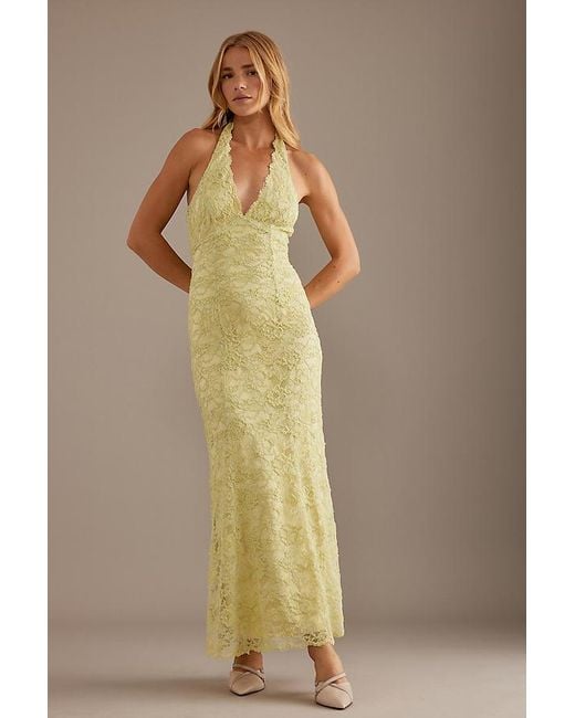 Bardot Natural Evana Halter Lace Midi Dress