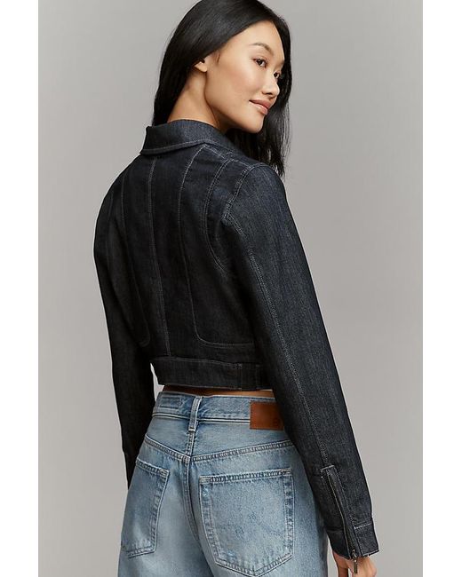 Pilcro Gray Cropped Denim Moto Jacket