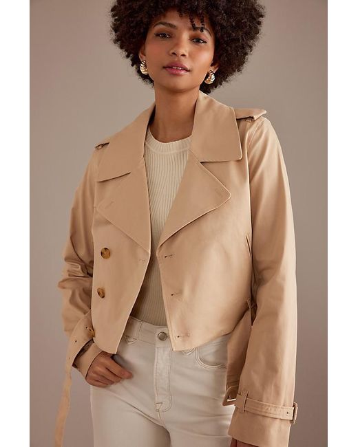 GOOD AMERICAN Brown Cropped Belted Trench Coat