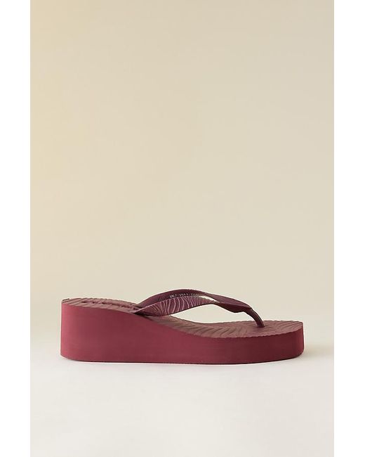 Sleeper Brown Tapered Platform Flip Flops