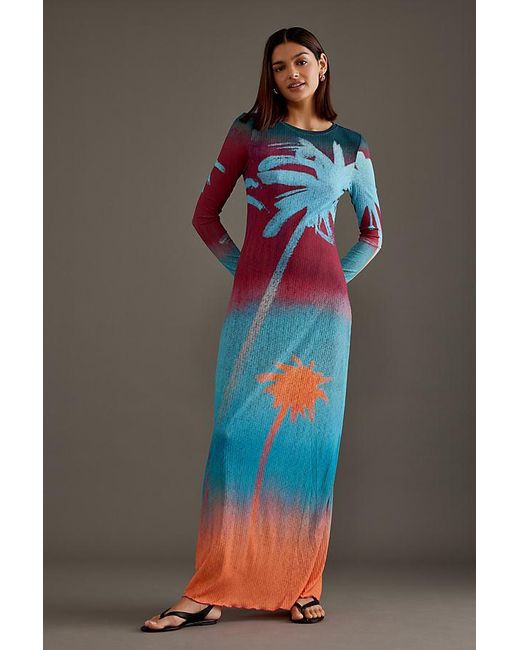 Wild Lovers Multicolor Havana Long-sleeve Maxi Dress
