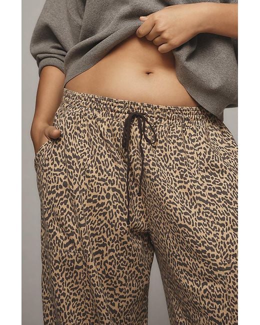 Daily Practice Gray Leopard Zola Joggers