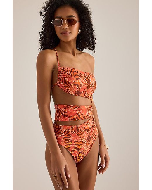 Wild Lovers Red Heatwave One-Piece Swimsuit
