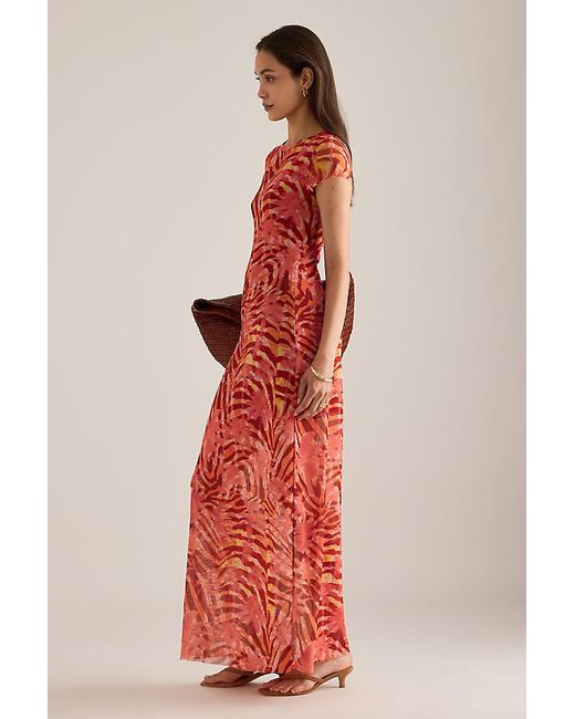 Wild Lovers Red Heatwave Cap-Sleeve Mesh Maxi Dress
