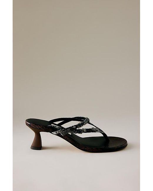 Miista Brown Abisai Mini Buckled Heeled Sandals