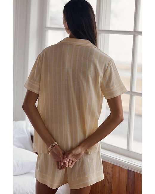 Eberjey Brown Nautico Short Pyjama Set