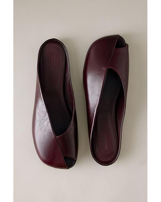Alohas Multicolor Timmy Mules