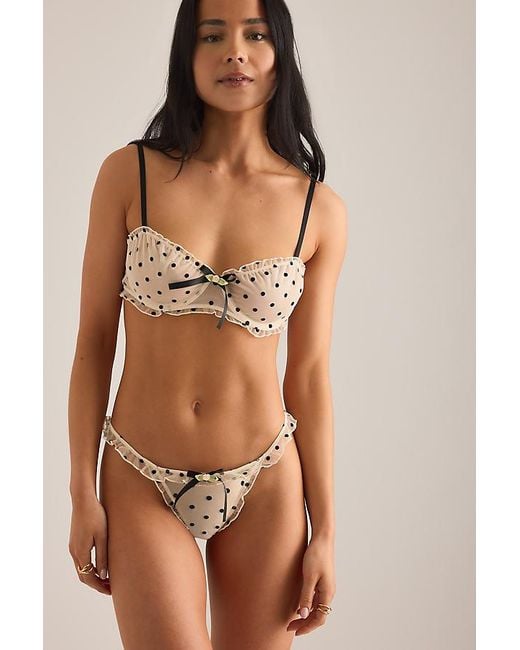 Wild Lovers Brown Romy Polka Dot Bra