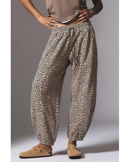 Daily Practice Gray Leopard Zola Joggers
