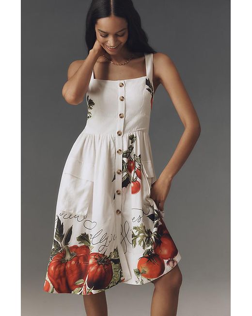 maeve button-front fit & flare tomato midi dress Women's Elegant Fit And Flare Midi Cocktail Dress with Sleeves