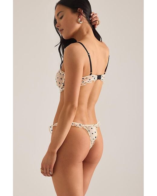 Wild Lovers Brown Romy Polka Dot Bra