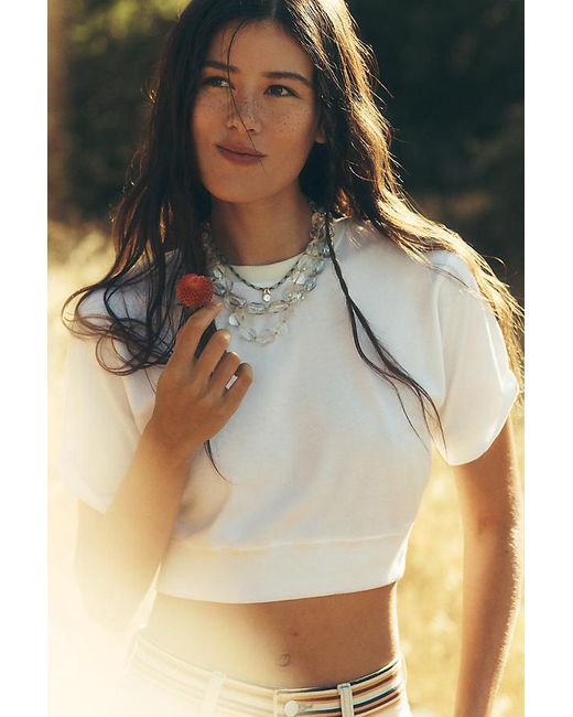 Pilcro White Banded Crop Bubble T-Shirt