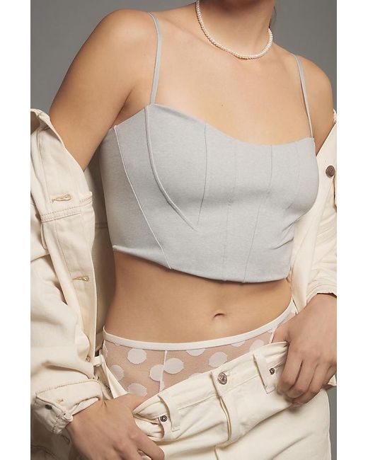 By Anthropologie Gray Knit Corset Crop Top