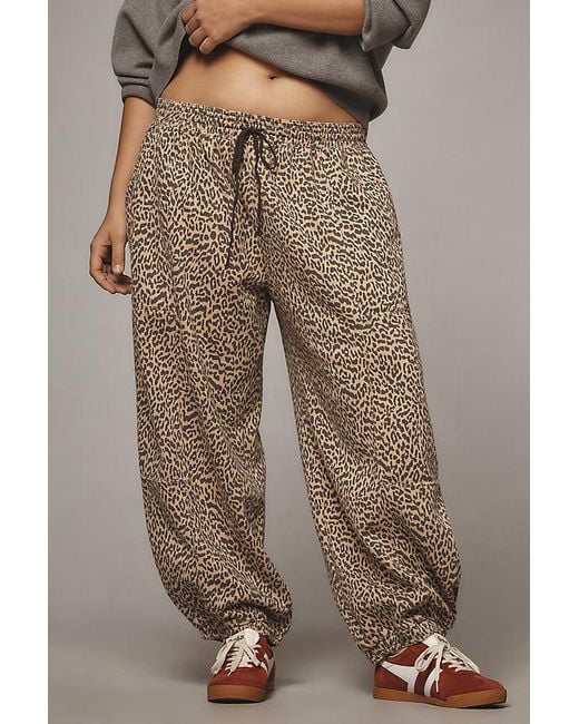 Daily Practice Gray Leopard Zola Joggers