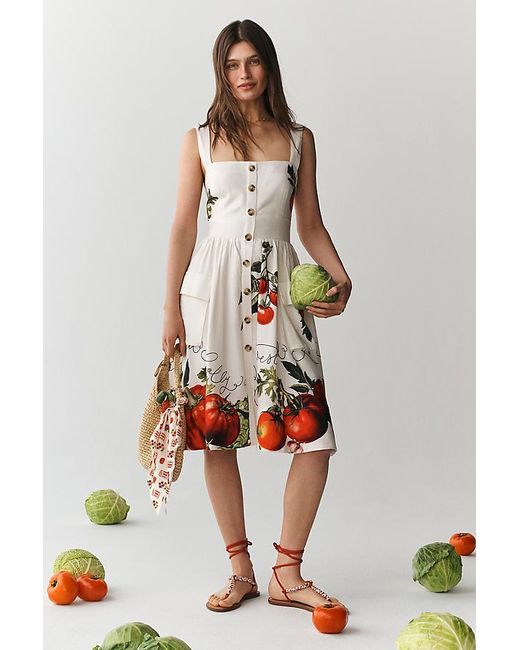 Maeve White Button-Front Tomato Midi Dress