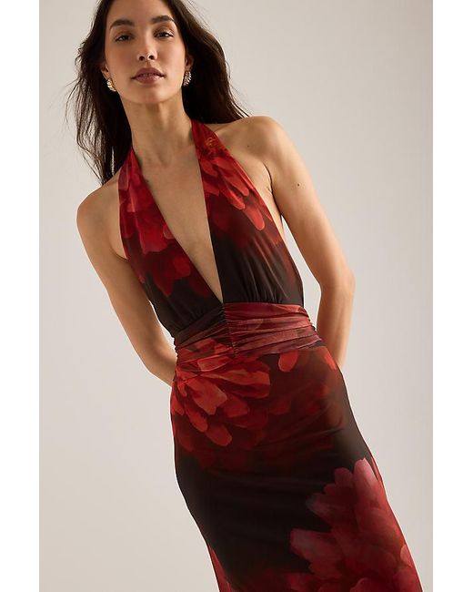 Bardot Red Elera Printed Halter Mesh Maxi Dress
